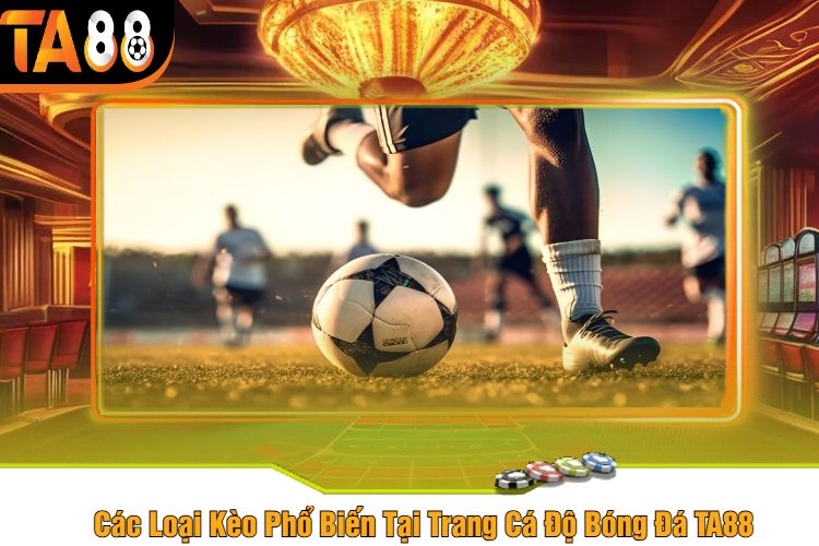 Các Loại Kèo Phổ Biến Tại Trang Cá Độ Bóng Đá TA88