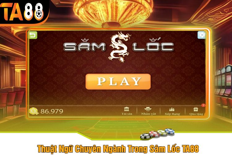 Thuật Ngữ Chuyên Ngành Trong Sâm Lốc TA88